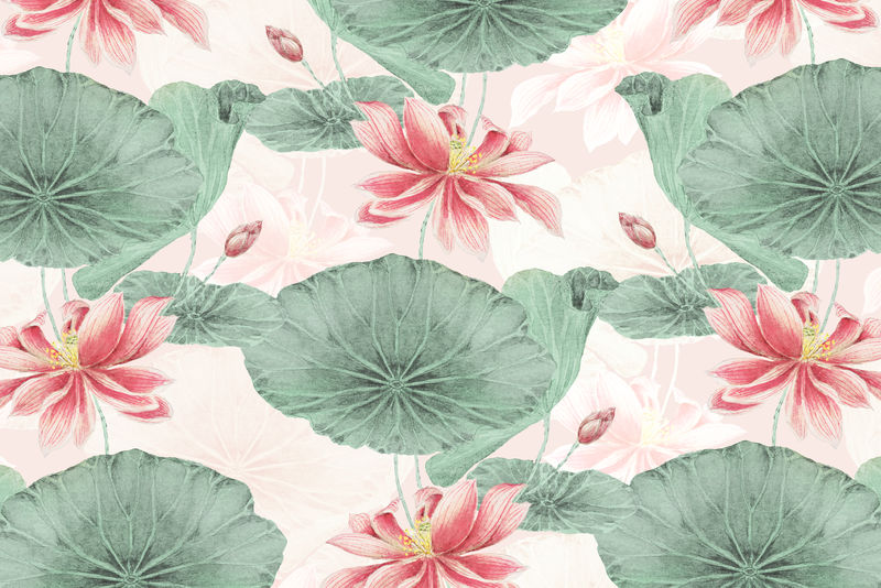 莲花图案植物背景psd从梅加塔森卡加的艺术作品混合