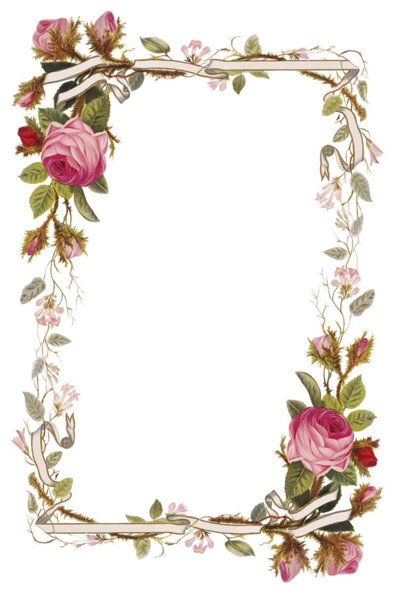 复古粉红玫瑰png边框插图由L