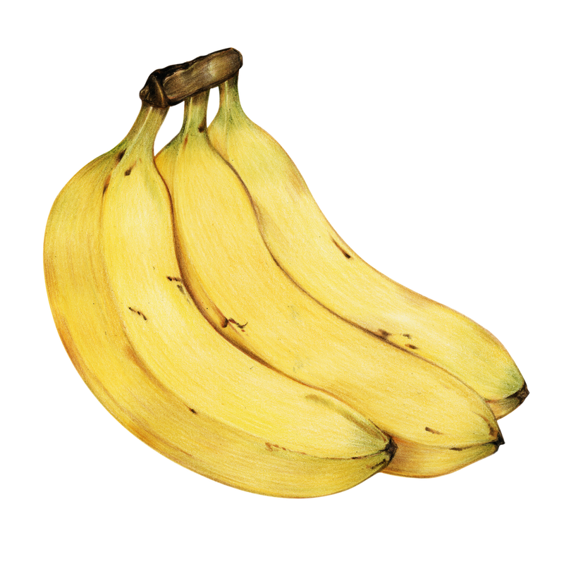 香蕉水果有机食品手绘