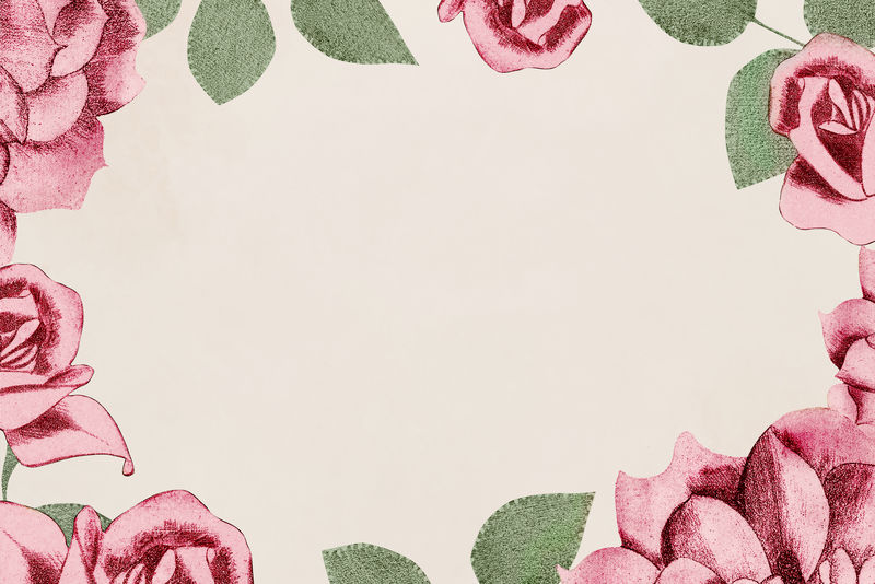 复古粉红玫瑰psd框架插图由塞缪尔·杰瑟伦·德梅斯基塔的艺术作品混合而成