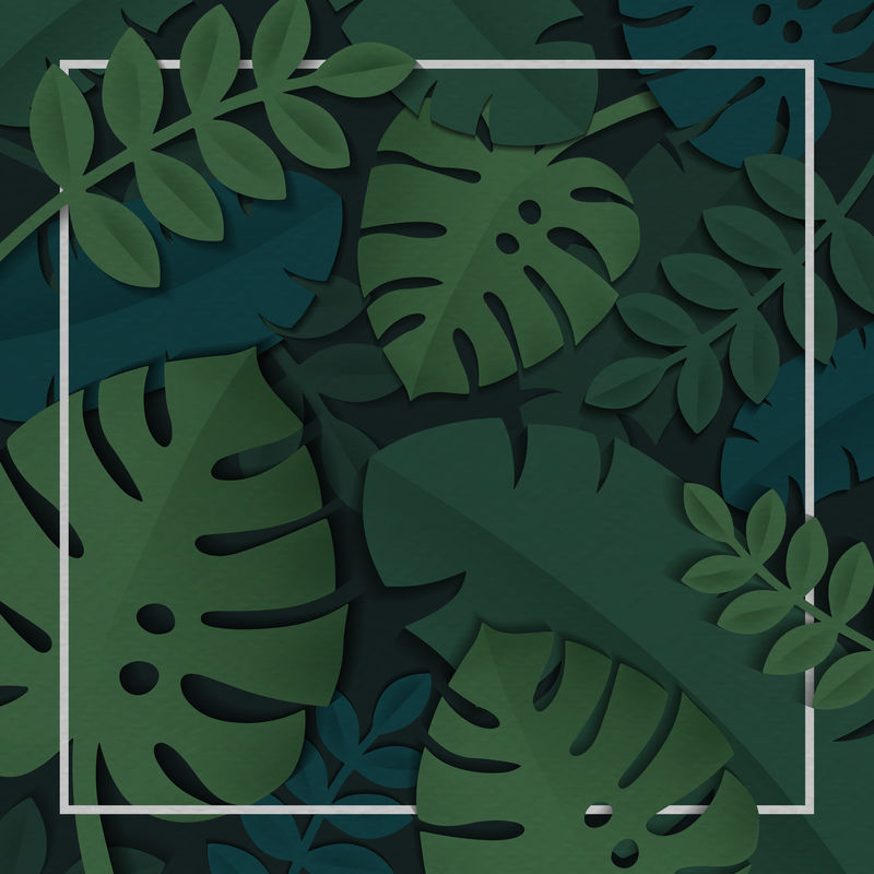 深绿色热带树叶图案背景向量上的方形白色框架