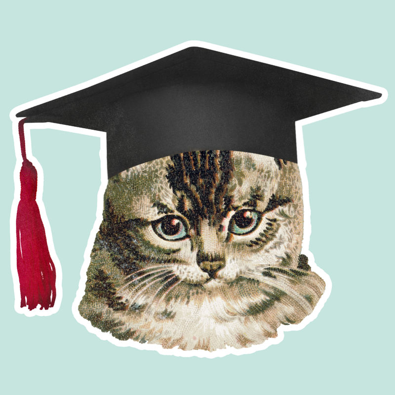 猫在毕业帽贴纸插图