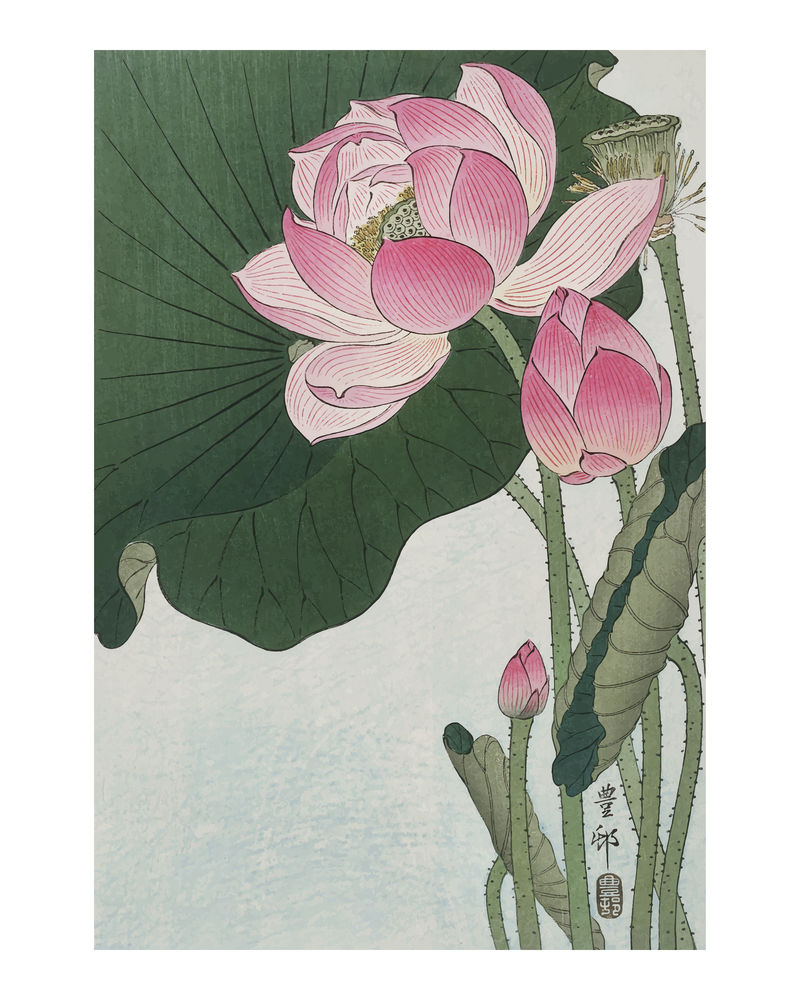 Blooming lotus复古插画墙壁艺术印刷品和海报设计混搭自Ohara Koson的原创艺术作品