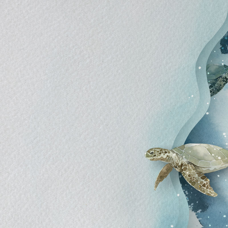 水彩画海龟纸横幅模板
