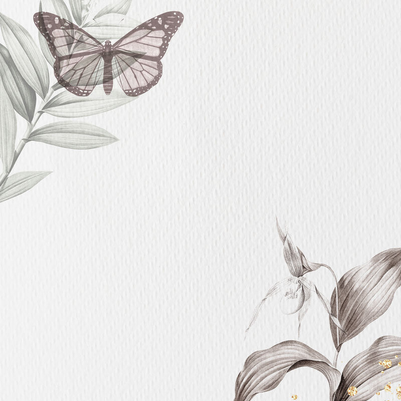叶子蝴蝶框架设计插图