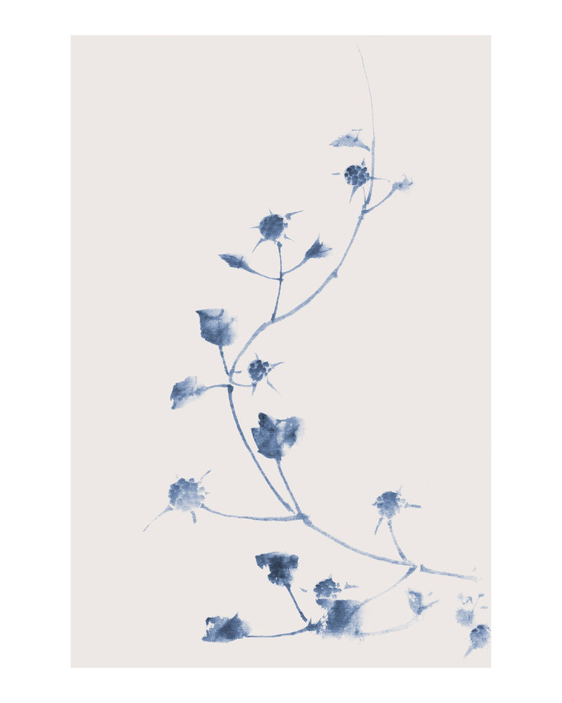 蓝色花朵复古插画墙壁艺术印刷品和海报
