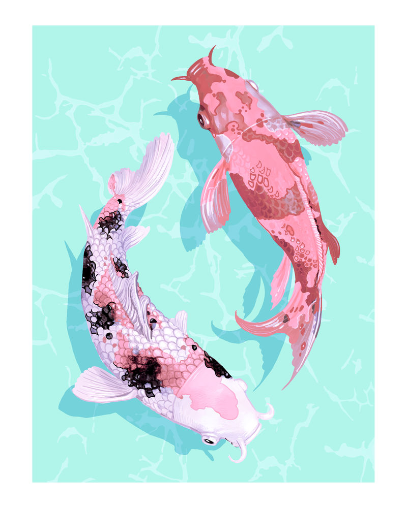 两只日本锦鲤游泳墙艺术印刷品和海报
