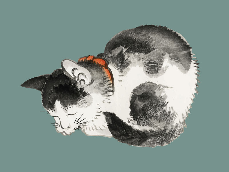 K\u014dno Bairei的《睡猫》（1844-1895）