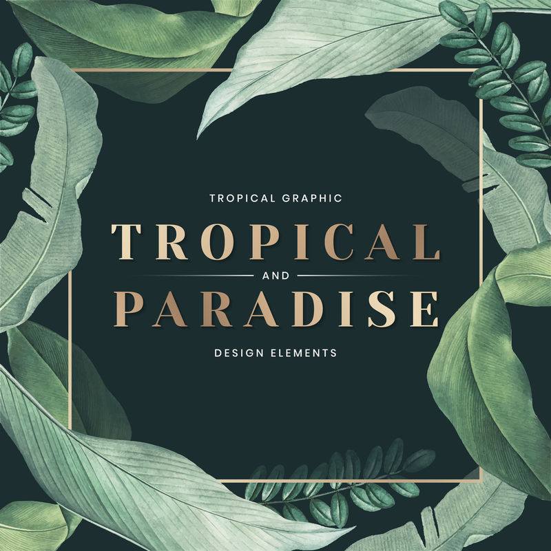 热带天堂海报用手工绘制的热带树叶装饰