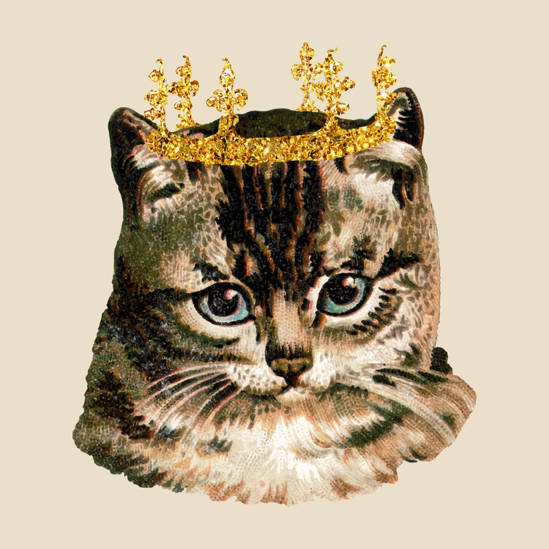 金光闪闪的王冠贴纸猫