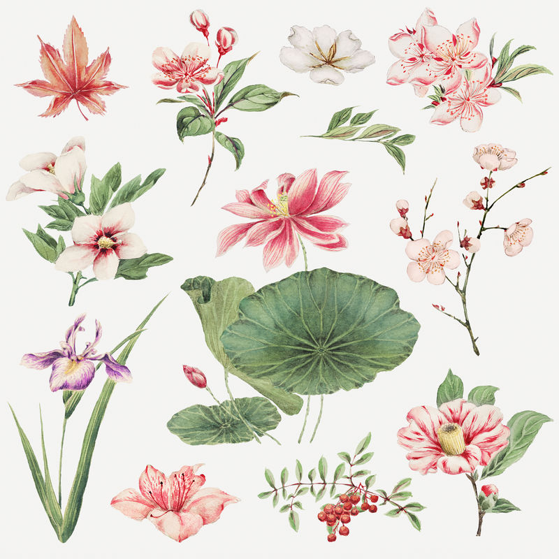 复古日本植物psd艺术印刷品由梅加塔森卡加（Megata Morikaga）的艺术作品混合而成