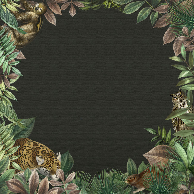 丛林圆框psd设计空间黑色背景