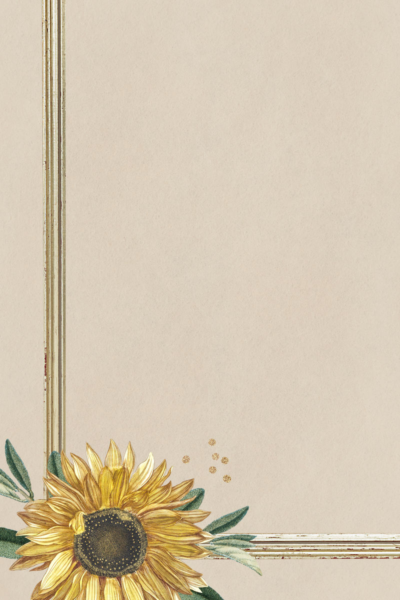 可爱的向日葵在米色背景插图
