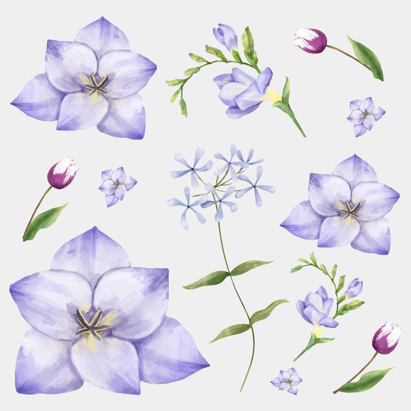 水彩花卉矢量图剪贴画系列