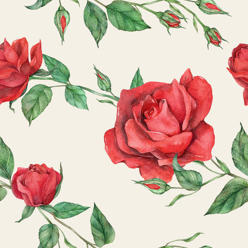 盛开的红玫瑰图案背景
