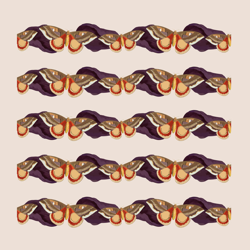 复古蝴蝶图案画笔矢量混合自自然主义者乔治·肖的杂集