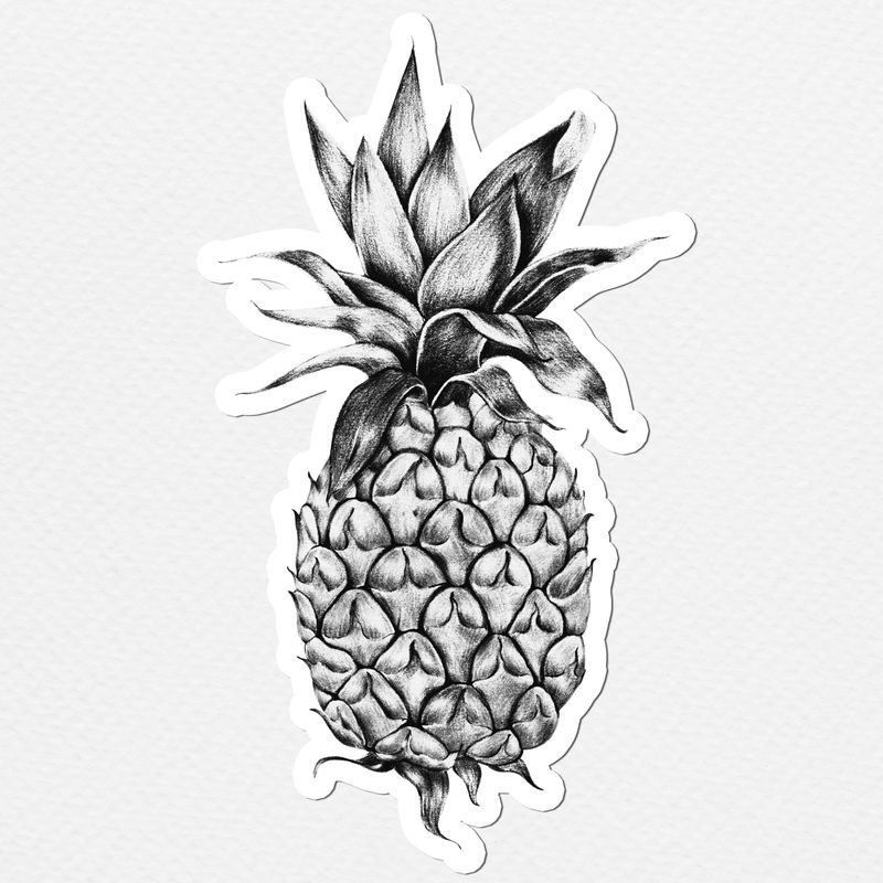 带白色边框的菠萝绘画风格贴纸插图