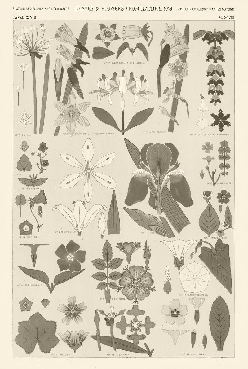 一套叶子和花的复古插图从欧文·琼斯的原始艺术品混合
