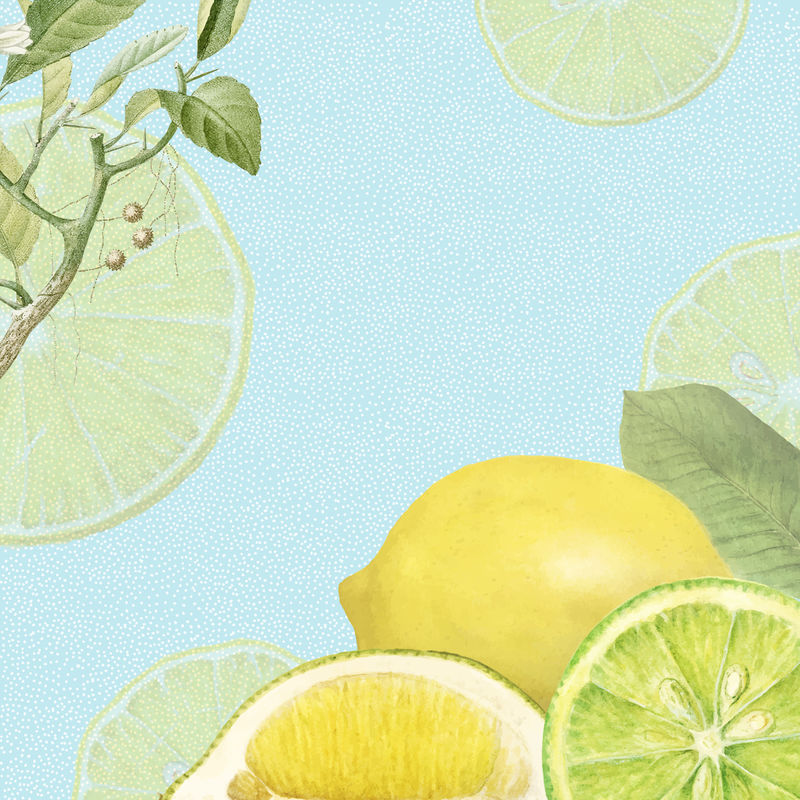 手绘天然鲜柠檬画框