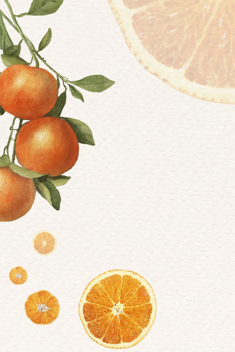 手绘天然鲜橙画框