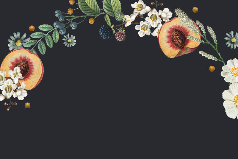 复古植物边框psd背景手绘插图