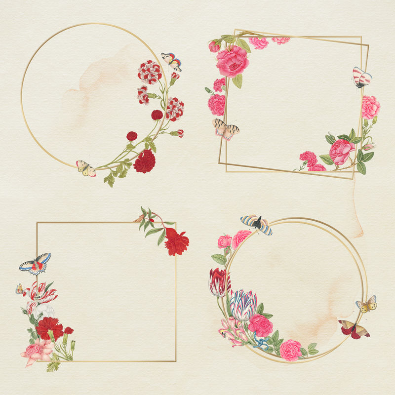 Psd花卉金框套装由史密森尼档案馆18世纪的艺术品混合而成