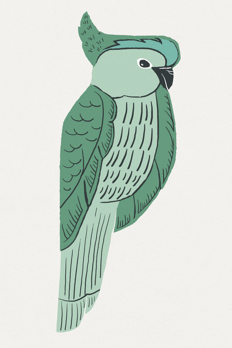 绿鹦鹉psd鸟复古模板图案