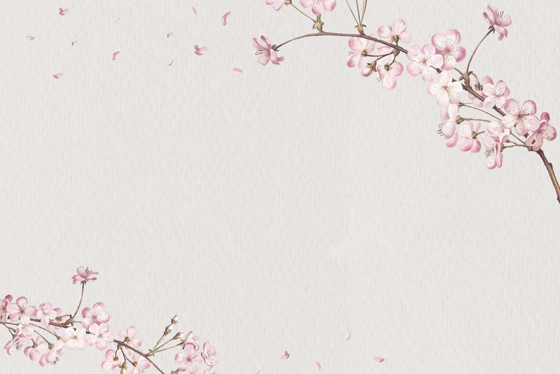 空白粉色花卡矢量