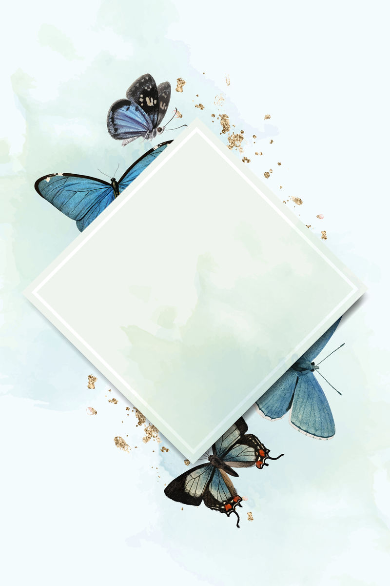 菱形框架与蓝色蝴蝶图案的背景向量