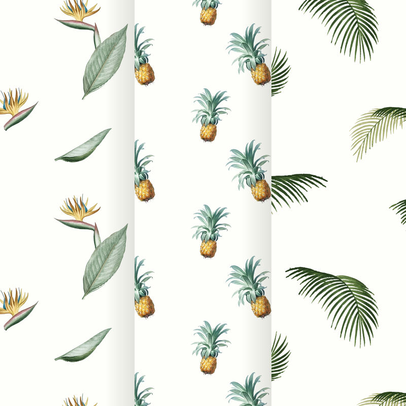 菠萝和棕榈叶复古插图