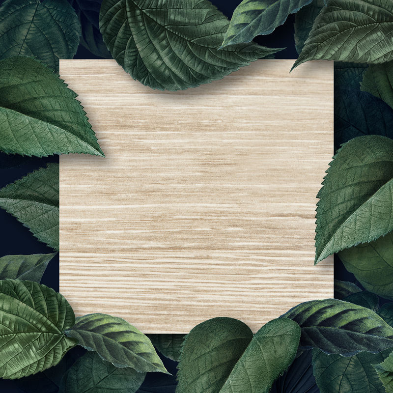 木质方形海报上的叶子背景插图