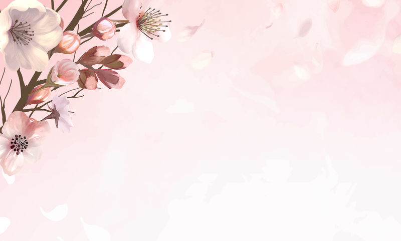 粉红色背景向量上的手绘樱花