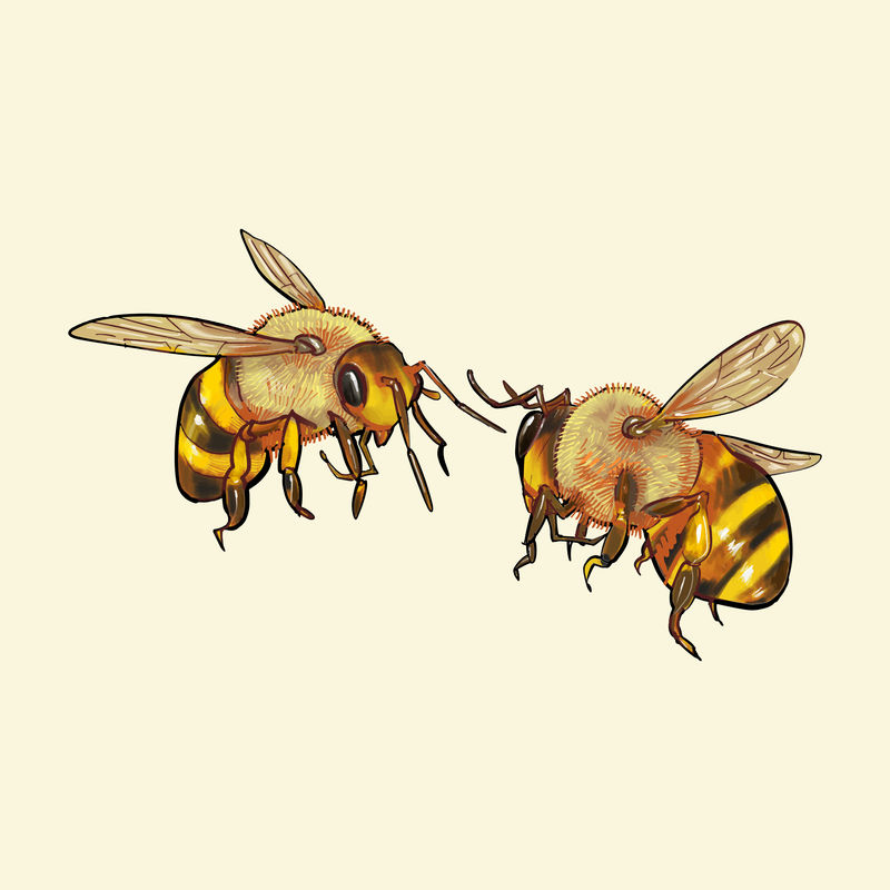黄色背景上孤立的手绘蜜蜂