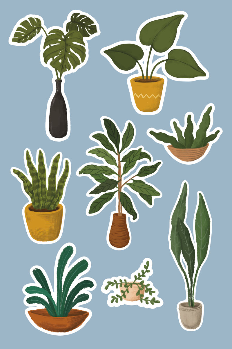 室内植物贴纸系列