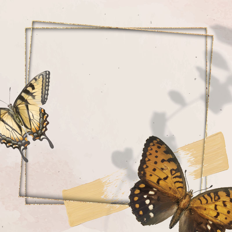 蝴蝶图案背景矢量金框