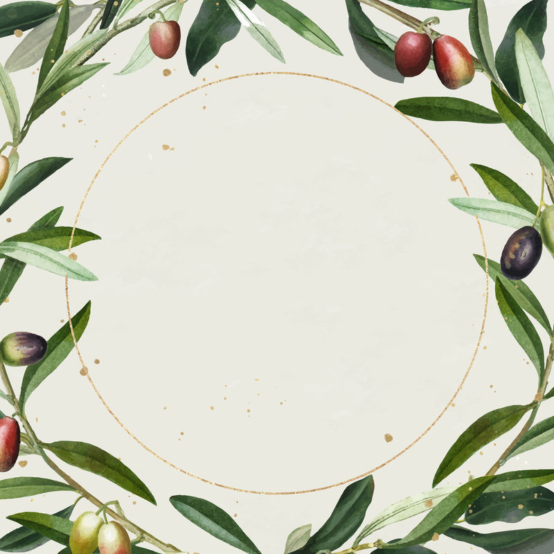 橄榄花环与黄金框架设计元素向量
