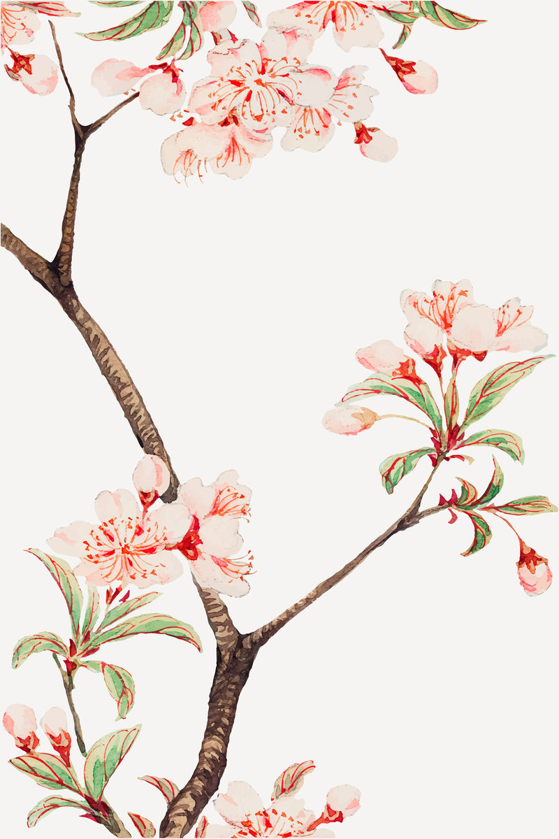 复古日本樱花矢量艺术印刷品混搭自梅加塔森冈的艺术作品