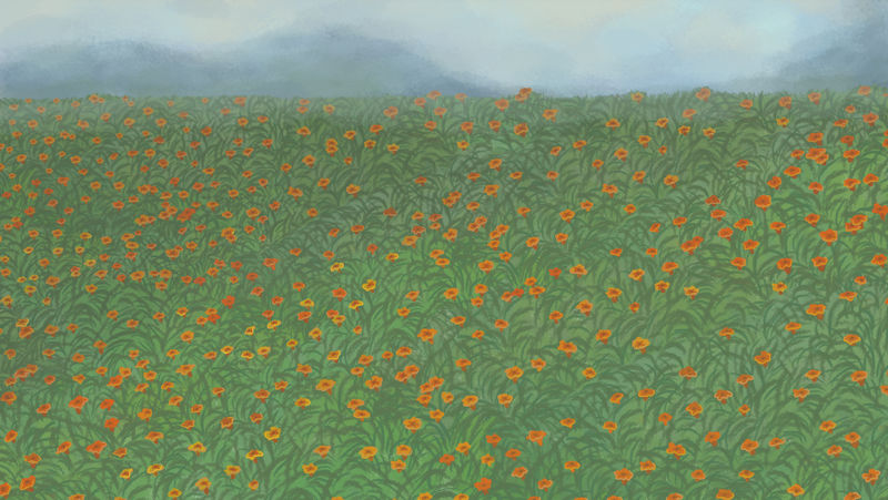 山上盛开的红色罂粟园背景插图
