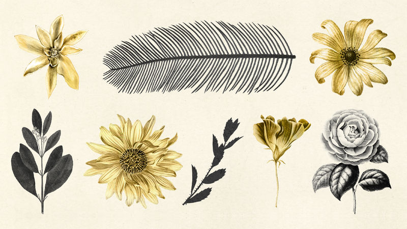 复古psd叶子和花朵金黑色贴纸系列