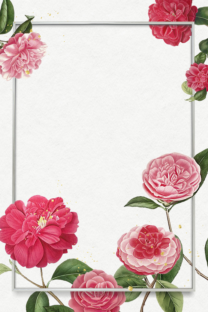 红色和粉色山茶花图案空白框架模型