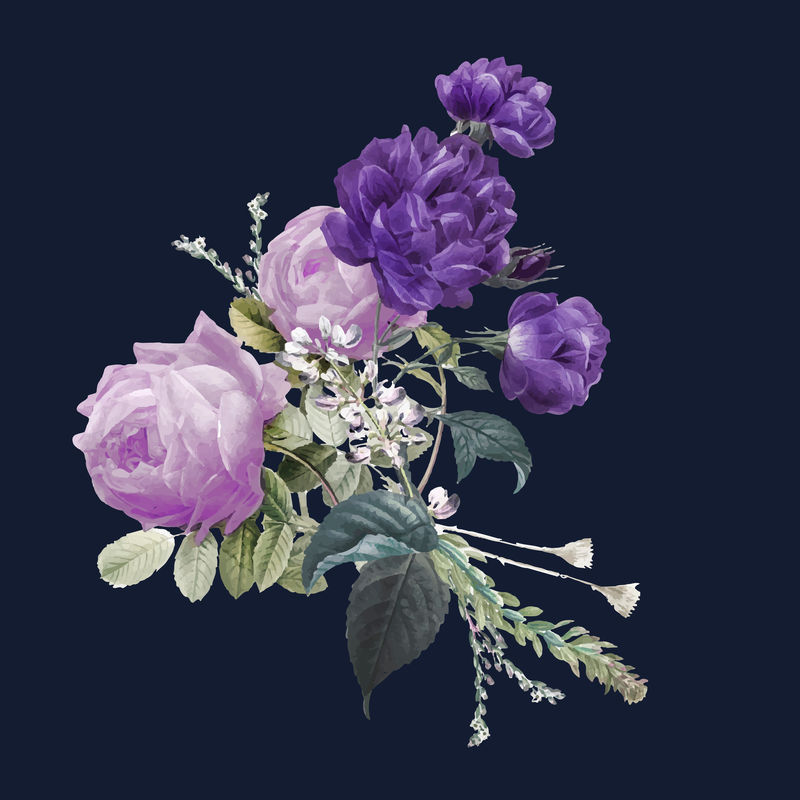 复古紫色矢量玫瑰花束手绘插图