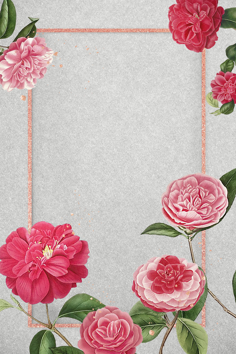 红色和粉色山茶花图案空白框架模型