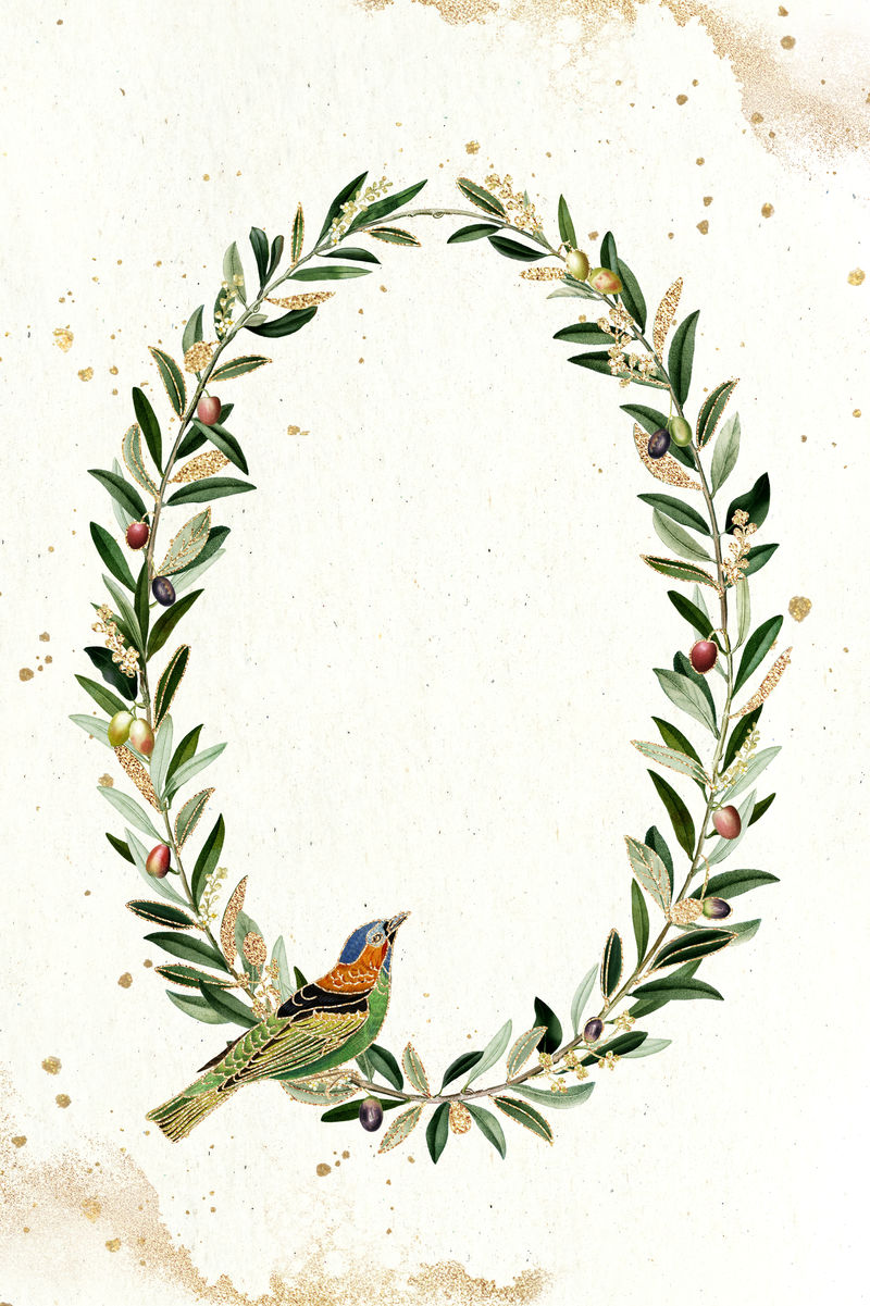 橄榄花环配红颈塔纳格鸟插图