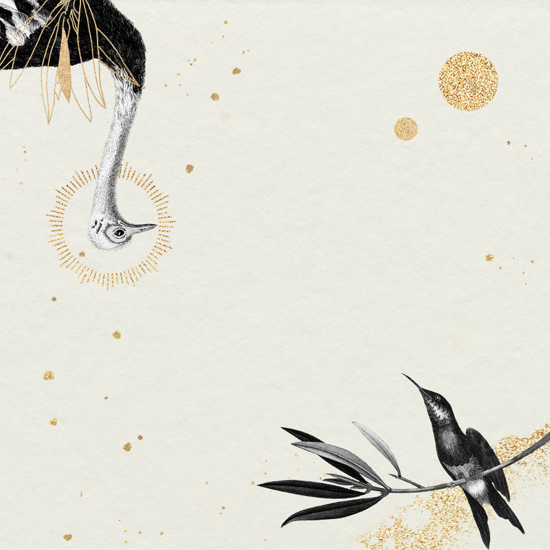 驼鸟和蜂鸟图案米色背景插图