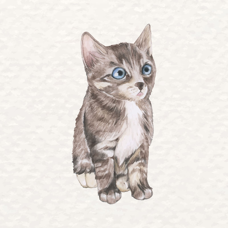 水彩手绘可爱猫