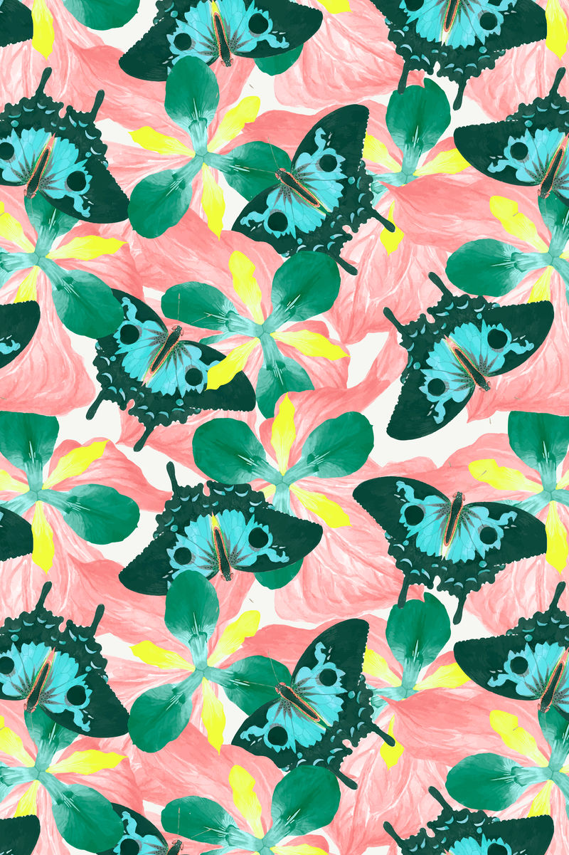 抽象蝴蝶花背景向量空白混合自自然主义者乔治·肖的杂集