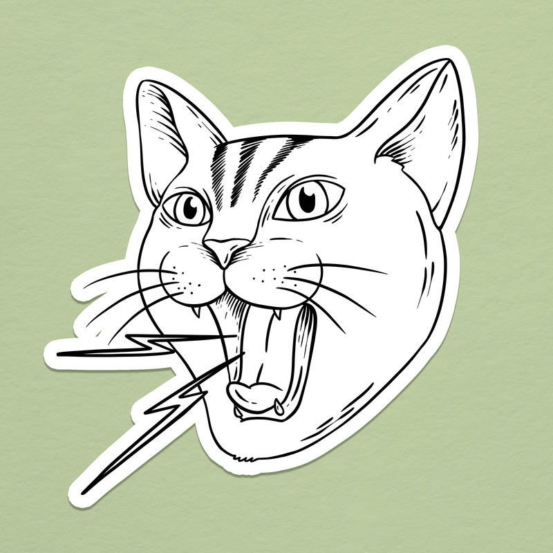 愤怒的猫轮廓贴纸覆盖在鼠尾草绿色的背景