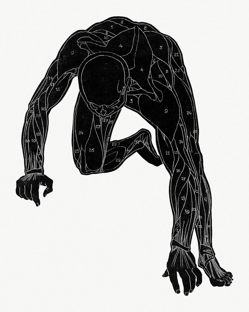 人体解剖psd剪影印刷从雷杰尔斯托尔克的艺术作品重新混合