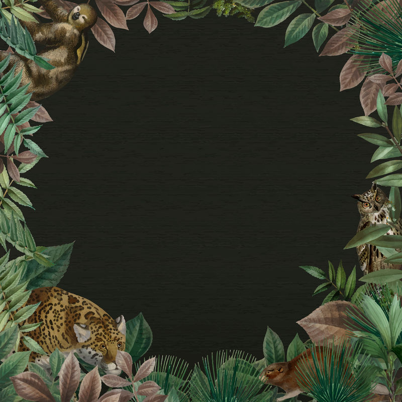 设计空间黑色背景的丛林圆形框架向量