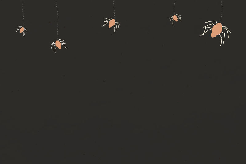 蜘蛛万圣节巫术涂鸦